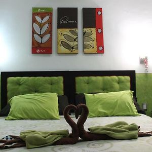 Maya Vacanze Playa Quinta B&B